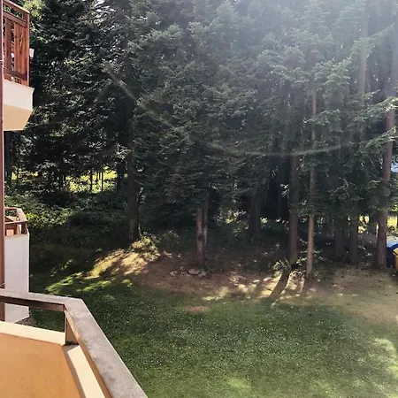 Park Premium 3* Borowez