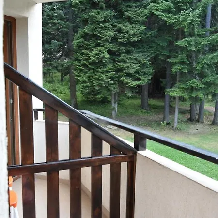 Park Premium 3* Borowez