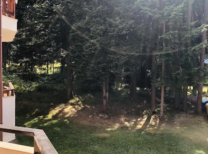 Park Premium 3* Borowec