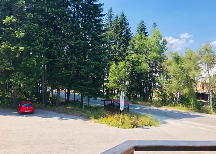 Park Premium 3* Borowec